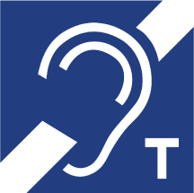 IVV-CTEC-hearing-2
